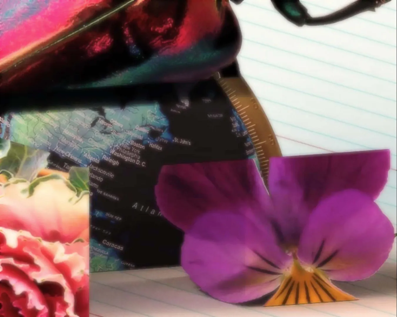 Amino Assets