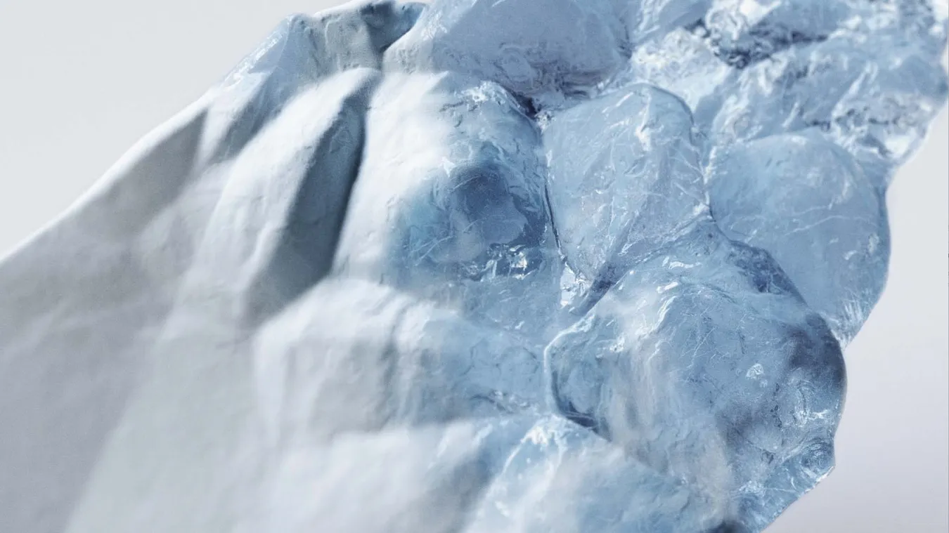 Arctic Munken