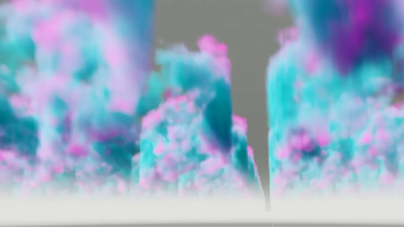 Polestar: Chroma Horizons