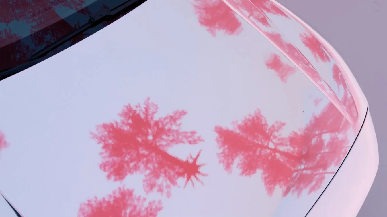Polestar: Chroma Horizons
