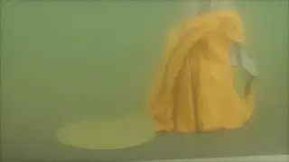 geist xyz