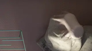 geist xyz