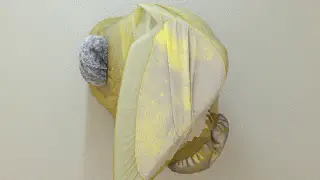 geist xyz