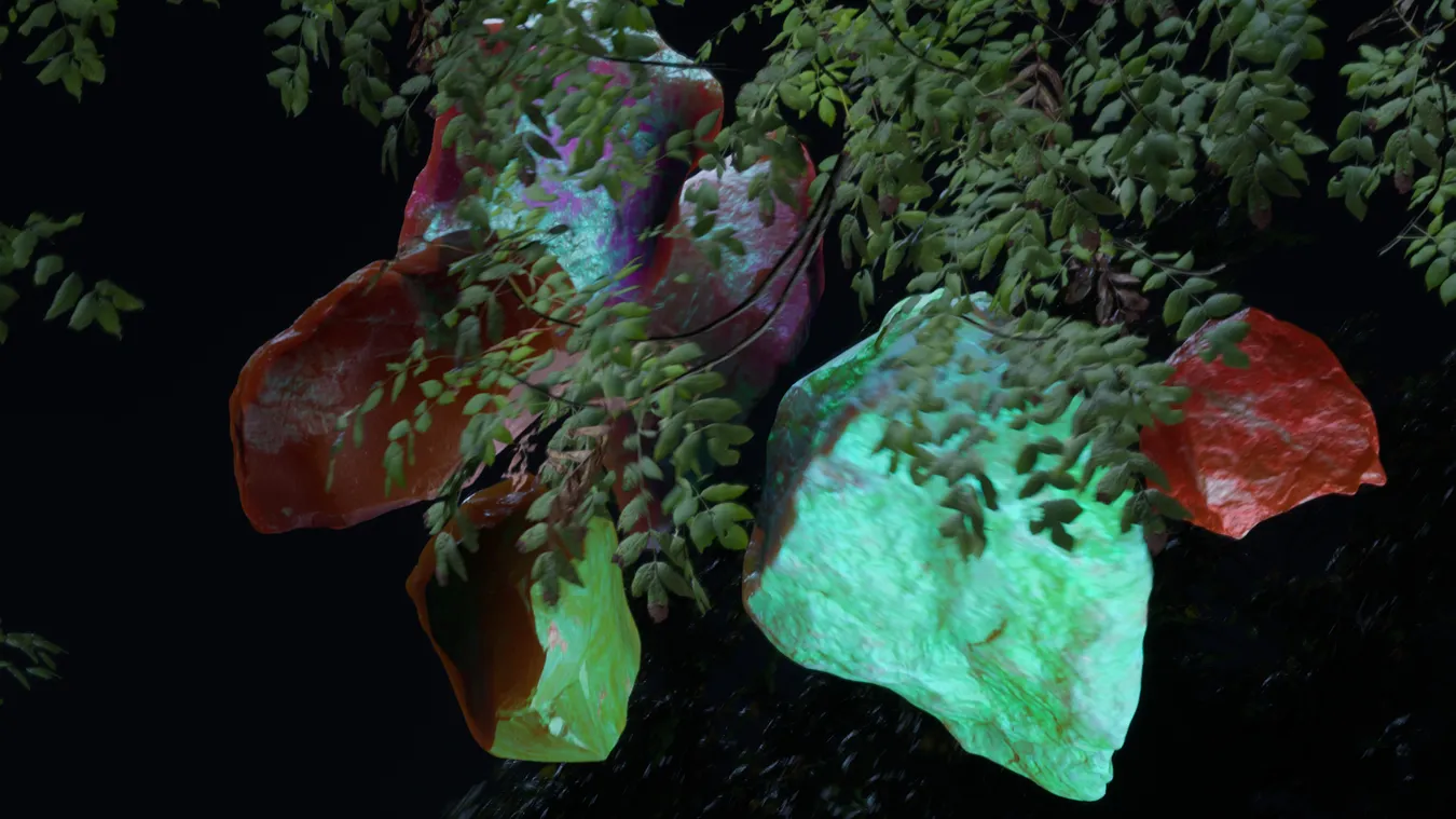 Alicia Keys Gem Forest
